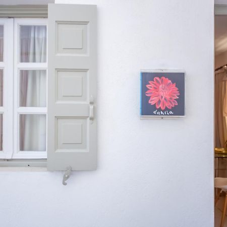 Sing And Blossom Accommodation Mykonos Town Buitenkant foto