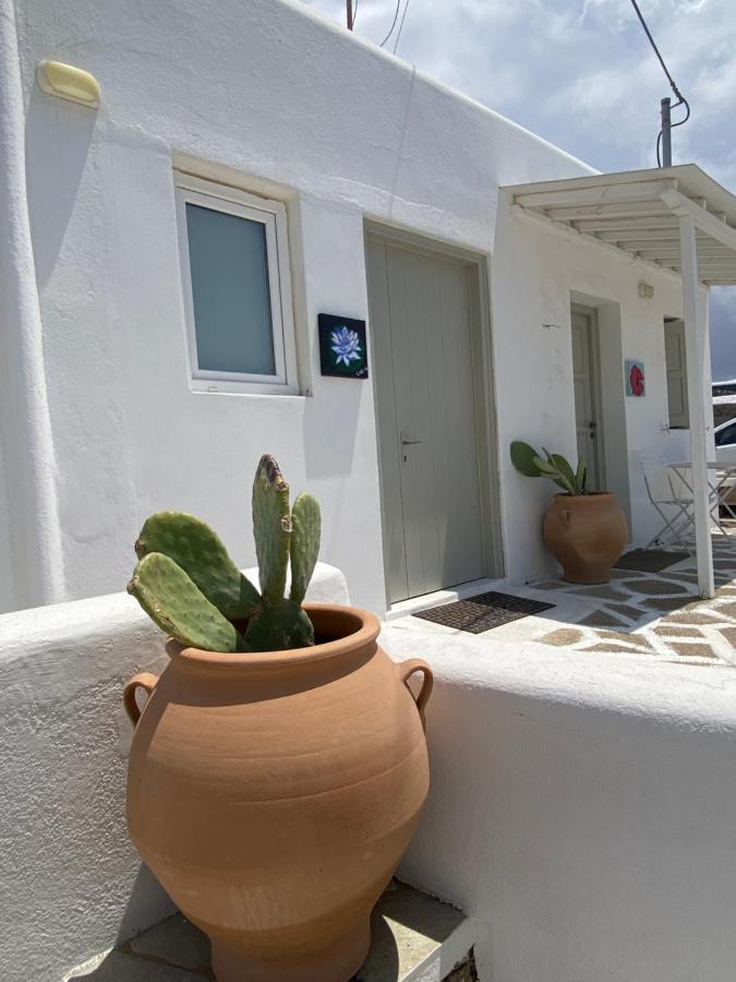 Sing And Blossom Accommodation Mykonos Town Buitenkant foto