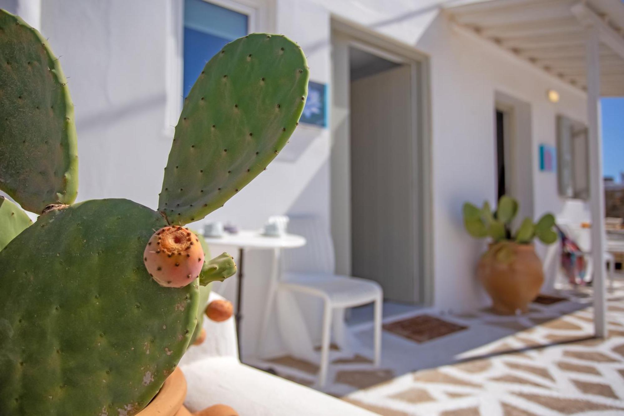 Sing And Blossom Accommodation Mykonos Town Buitenkant foto
